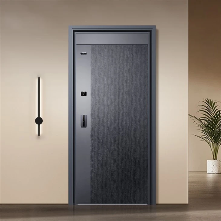 Smart Steel Entry Doors